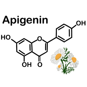 Wat doet apigenine in het lichaam?
